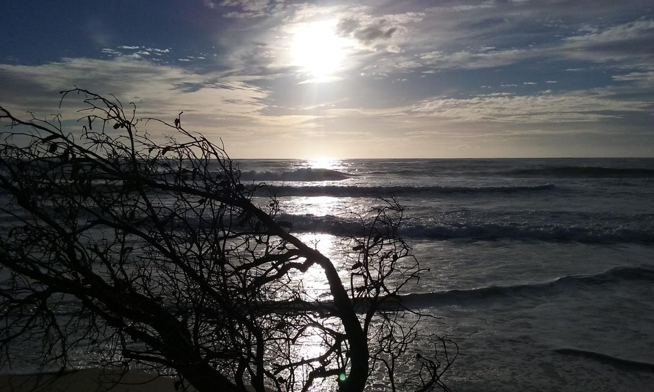 Holiday park Big4 Tasman -